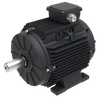 T100 EC